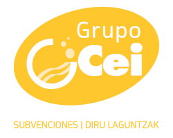 Cei Gestión de Subvenciones