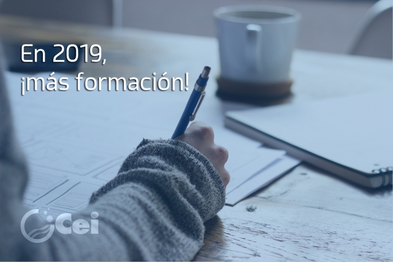 Grupo-Cei-Formacion-resumen-2018