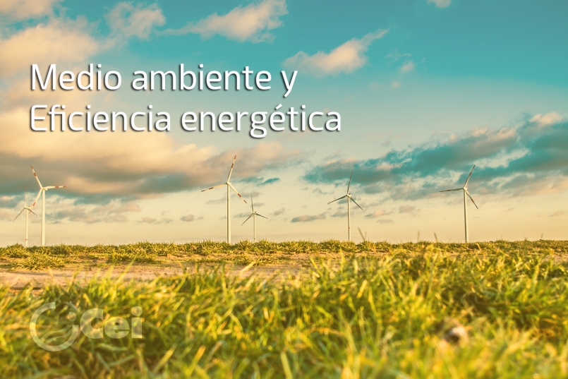 Cei-Gestión-Subvenciones-eficiencia-energetica