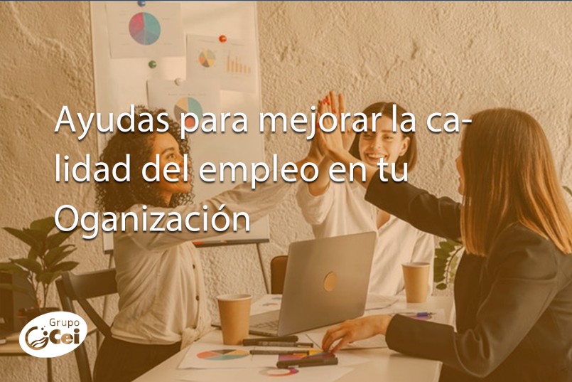 Ayudas para mejorar la calidad del empleo en tu organización