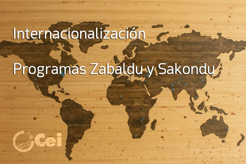 Cei-Gestión-Subvenciones-Sakondu-Zabaldu