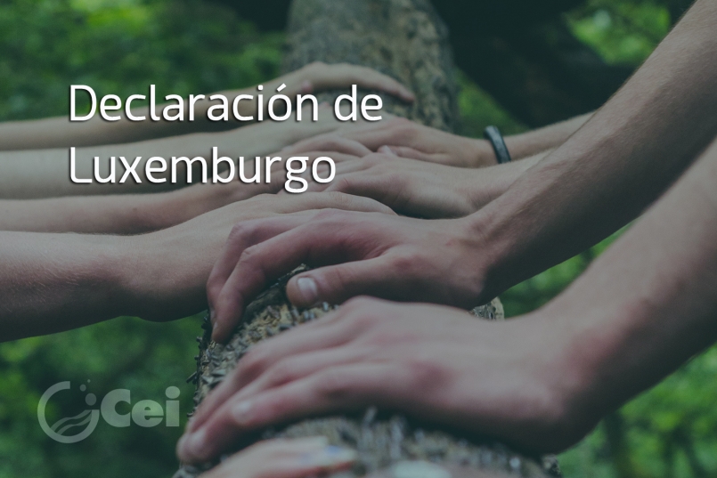 Grupo Cei adhesión Declaración Luxemburgo