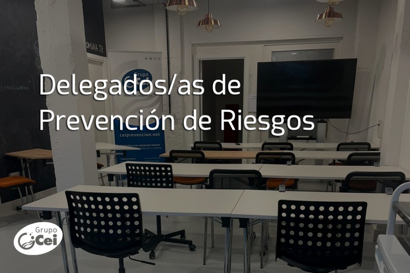 Formación Delegado PRevención Riesgos