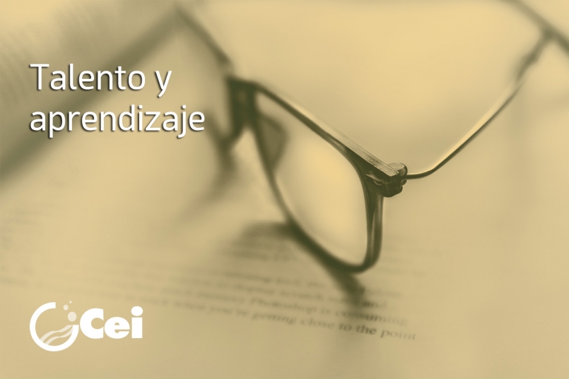 Cei-Gestión-Subvenciones-Talento-Aprendizaje-Gipuzkoa-2019