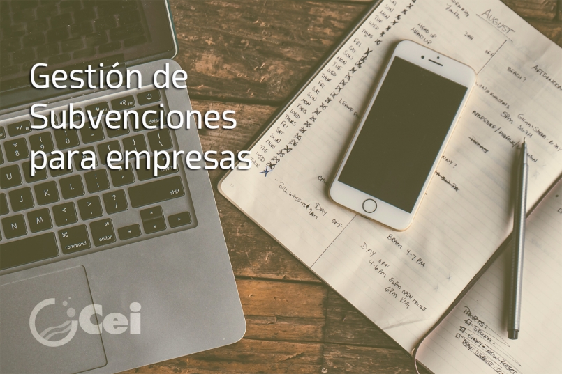 Gestión de subvenciones para empresas