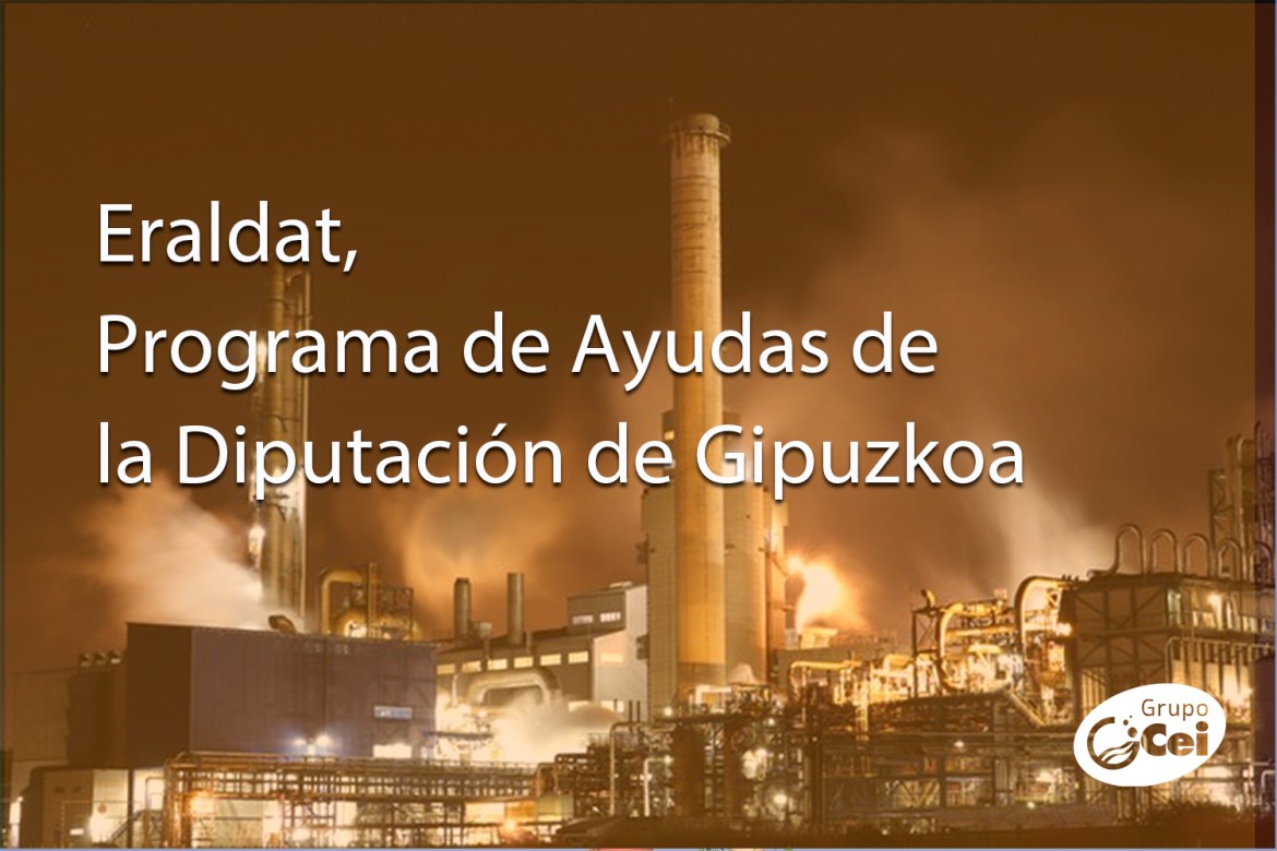 Eraldat, Programa de Ayudas de la Diputación de Gipuzkoa