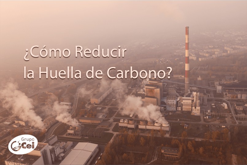 ¿Cómo Reducir la Huella de Carbono en tu Organización?